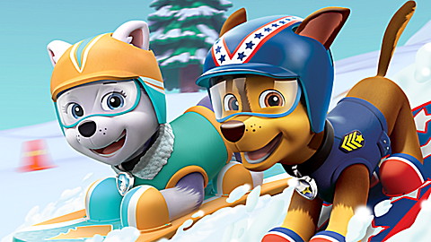 PAW Patrol: Pup-tastic Teamwork!