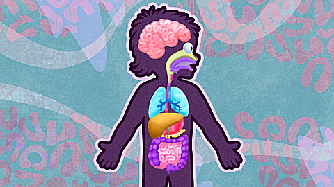 The Human Body Game: LeapTV edition