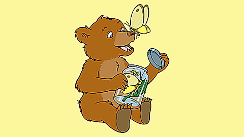 Little Bear: Little Bear and Friends