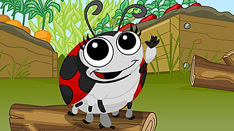 285-lula-the-ladybug-1.jpg Lula the Ladybug