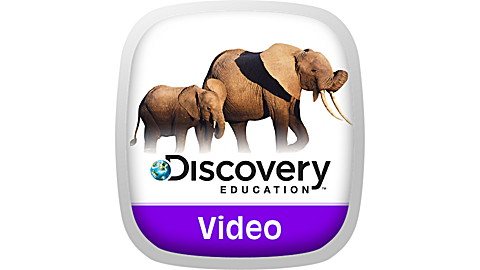 372-discovery-education-animals-in-action-2.jpg Discovery Education: Animals in Action