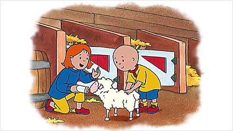 Caillou: Starry Night
