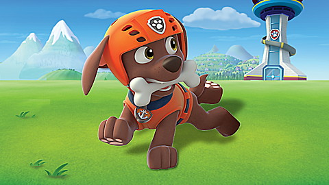 PAW Patrol: PAW Patrol to the Rescue!