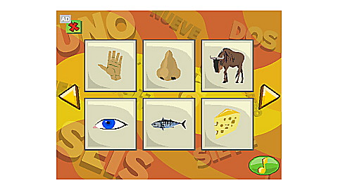 Brain Blocks Flash Cards: Spanish Vocabulary