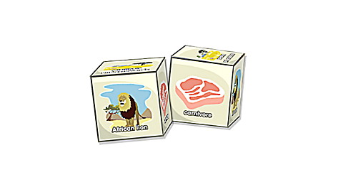 Brain Blocks Flash Cards: Land Animals