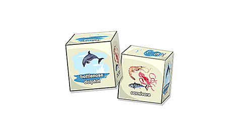 Brain Blocks Flash Cards: Sea Animals