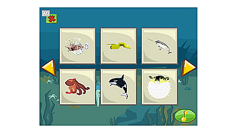 Brain Blocks Flash Cards: Sea Animals
